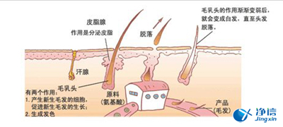 毛发毒品检测仪检测腿毛